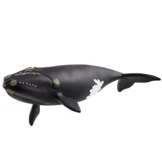 Schleich: Figura de ballena del Atlántico Norte (14878)