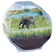 imagen de Science & Play: Mini elefante terrario juego set - Clementoni 2