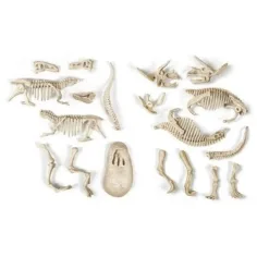 imagen de Science&Play: Archeofun T-rex y Triceratops iluminados set de arqueología - Clementoni 3