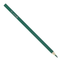 Spirit: Lápiz triangular premium de color verde oscuro