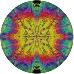 imagen de Waboba: Wingman Pro frisbee de silicona en varias versiones 4