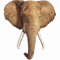 imagen de WOW rompecabezas de elefante gigante 700 piezas 2