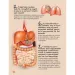 imagen de 101 cosas que es bueno saber sobre el cuerpo humano libro de divulgación 2