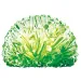 imagen de 4M kit de cultivo de cristales luminosos 3