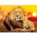 imagen de Abrazo inesperado 180 piezas Super color puzzle - Clementoni 2