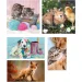 imagen de Amigos animales 10 en 1 super color puzzle - Clementoni 3