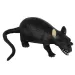 imagen de Animal de estiramiento asustador 6