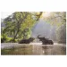 imagen de Animal Planet: Elefantes en el lago puzzle de 1000 piezas 2