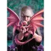 imagen de Anne Stokes: Dragonkin rompecabezas de 1000 piezas - Clementoni 2
