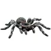 Araña pájaro de patas blancas figura de juguete