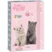 Ars Una: Animales adorables - caja de cuadernos de té de gatos A/4