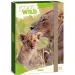 Ars Una: Icons of the Wild Lions A/4 caja de cuadernos