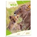 Ars Una: Máté Bence Icons of the Wild-Leones A/4 carpeta con goma