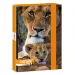 Ars Una: Máté Bence Spirit of Nature - Caja de cuadernos con león A/5