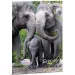 Ars Una: Serenity – Elefante A/4 carpeta con goma