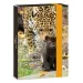 Ars Una: Serenity Jaguar caja de cuadernos A5
