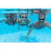imagen de Bestway: Gafas de natación Accelera™ en varios colores 1ud 2