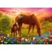 imagen de Caballos en el prado puzzle de 500 piezas - Trefl 2