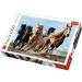 imagen de Caballos galopantes rompecabezas premium de 1000 piezas - Trefl 1
