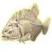 imagen de Ciencia y Juego: Kit de arqueología de piraña fluorescente - Clementoni 3