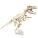 imagen de Ciencia y Juego: Kit de arqueología T-Rex fluorescente - Clementoni 3