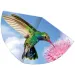 Colibrí cometa