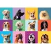 imagen de Divertidos perros 300 piezas puzzle - Clementoni 2