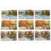 imagen de El bosque – Smoky Mountains, juego de mesa 2