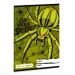 El cuaderno de diccionario The Wolf Spider A/5