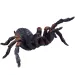Figura de araña