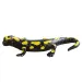 Figura de juego de salamandra de fuego