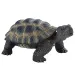 Figura de tortuga