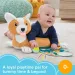 imagen de Fisher-Price: Corgi Puppy Almohada de pancita con sonajero, mordedor y espejo - Mattel 2
