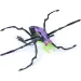 imagen de Hex Bots: Skitter Bot robot araña interactivo – verde-púrpura - Spin Master 3