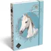 ICO: Lizzysuli Wild Beauty Sport Club caja de cuadernos A/4
