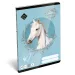 ICO: Lizzysuli Wild Beauty Sport Club cuaderno de líneas de 2º grado
