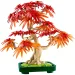 imagen de LEGO® Botanicals: Arce japonés de hojas rojas bonsái (10348) 3