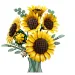 imagen de LEGO® Botanicals: Ramo de Girasoles (11502) 3