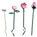 imagen de LEGO® Botanicals: Ramo de rosas rosa (10374) 5