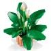 imagen de LEGO® Botanicals: Vela de mar (11504) 4