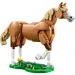 imagen de LEGO® Creator: Hermoso caballo (31166) 2