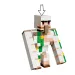 imagen de LEGO® Minecraft: Ataque de los pollos, ataque en el desierto (21592) 5