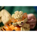 imagen de LEGO® Pokémon: Arcanine (72160) 10