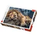 imagen de León dormido puzzle premium de 1000 piezas - Trefl 1