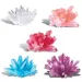 imagen de Mini kit de cultivo de cristales 3