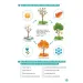 imagen de Minitanoda - Tareas de preparación escolar para niños de grupo medio 5