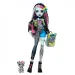 imagen de Muñeca Monster High - La monstruosamente nueva Frankie Stein - Mattel 2