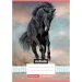 Nebulo: Caballo en la arena cuaderno de cuadros A/5 27-32