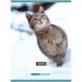 Nebulo: Cuaderno cosido A4 con líneas de gatos 81-32