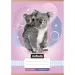 Nebulo: Cuaderno de cuadros con diseño de koalas A/5 27-32